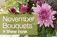 View November Bouquets