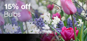 View 15% off Bulbs