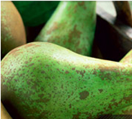 Health & Nutrition