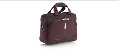 Business Travel