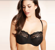 Multiway & Strapless