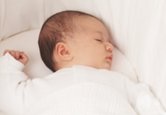 cribs & moses baskets