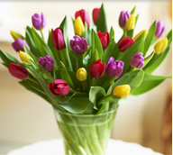 Tulip Bouquet