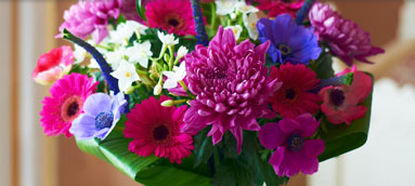 February Flowers