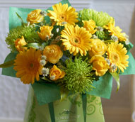 Gerbera Gift Bag