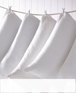 Speciality Pillows