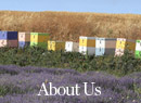 Apivita About Us