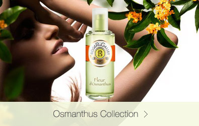 Osmanthus Collection