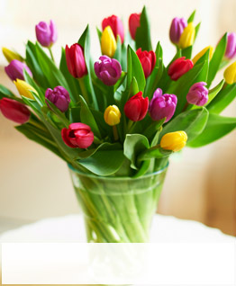 British Tulip Bouquet