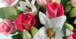 Flower Care Guides