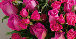 Fairtrade Flowers 