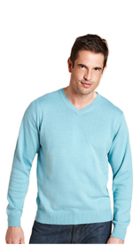 Blue Harbour Pure Cotton V-Neck Jumper