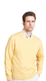 Blue Harbour Pure Cotton Crew Neck Jumper