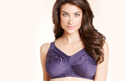 Britain's Favourite Bras