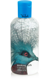Working Curls Shampoo