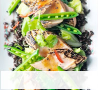 Health & Nutrition