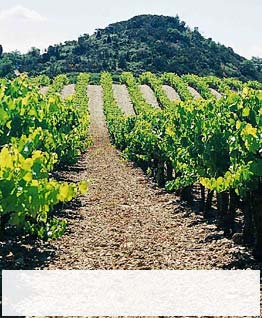 Rhone