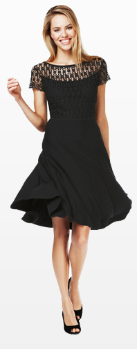 Floral Lace Skater Dress