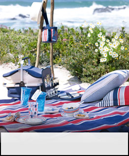 Picnicware