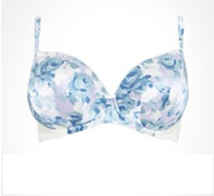 Plunge Bras