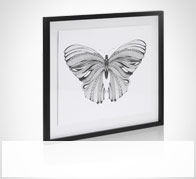 Conran