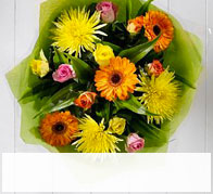 Vibrant £30