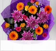 Summer Brights £35