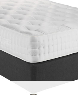 Fresh Mattresses