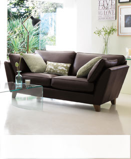 Leather Sofas