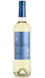 Finca Sauvignon Blanc