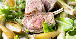 Tasty Recipe Ideas