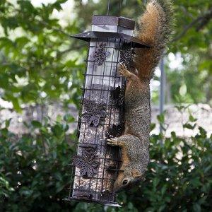 Squirrel Be Gone Wild Bird Feeder Opus 336 Amazon Co Uk Garden