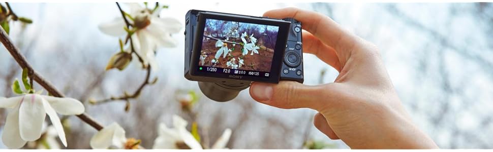 Sony, RX100M3, advanced camera, 20.1mp, 1.0 type sensor, 3 inch lcd