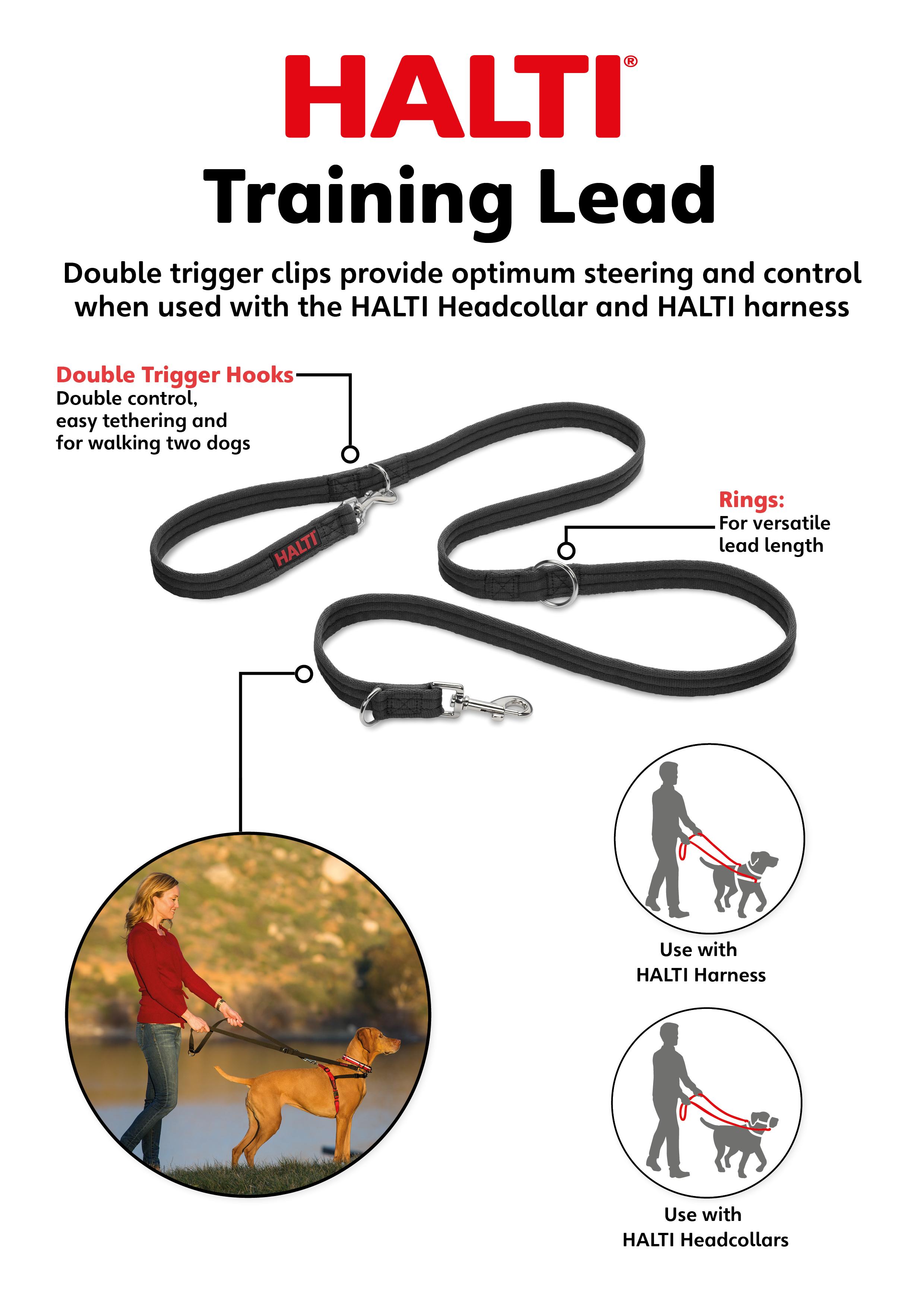 The Company of Animals HALTI Training Lead, Black, Large Amazon.co.uk