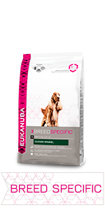 eukanuba cocker spaniel