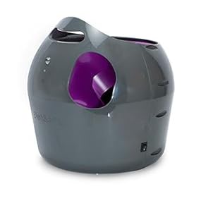 Dog Dogs Playtime Toy Treats Interactive Play Ball Launcher Automatic Entertainment Fun Game Fetch