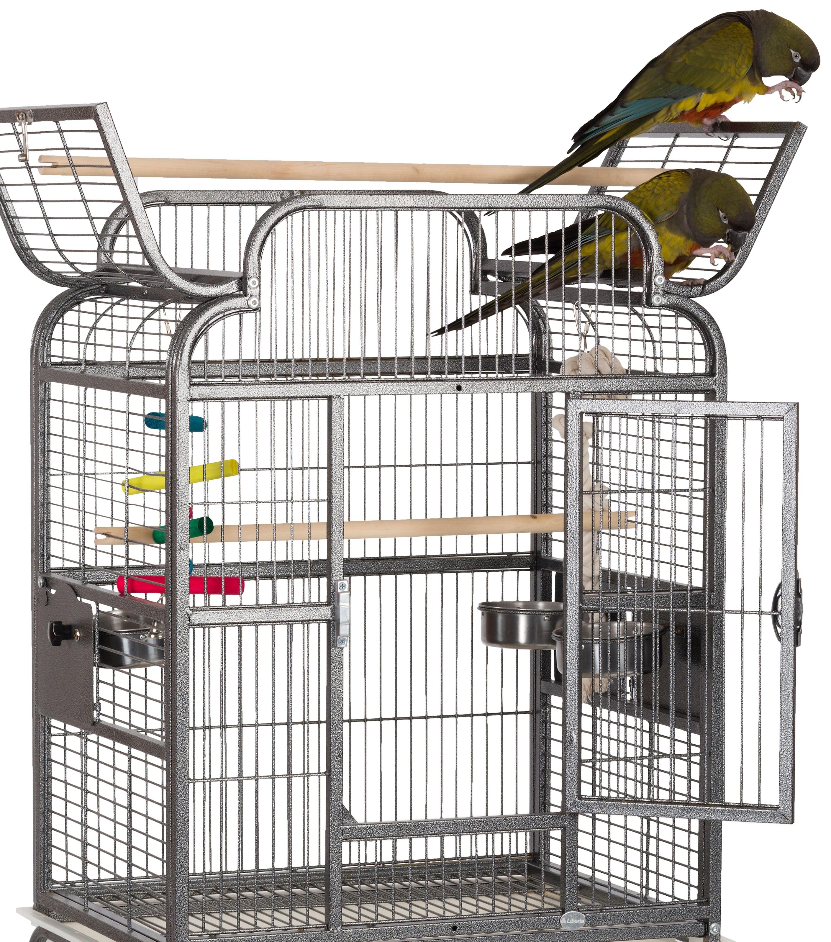 Liberta Drake Parrot Cage, 152 x 63 x 53 cm, Medium Amazon.co.uk Pet