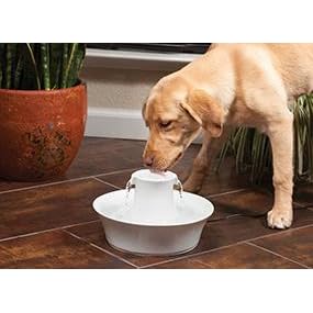 Drinkwell Fountain Pet Dog Dogs Cat Cats Fountain Drink Accessory
