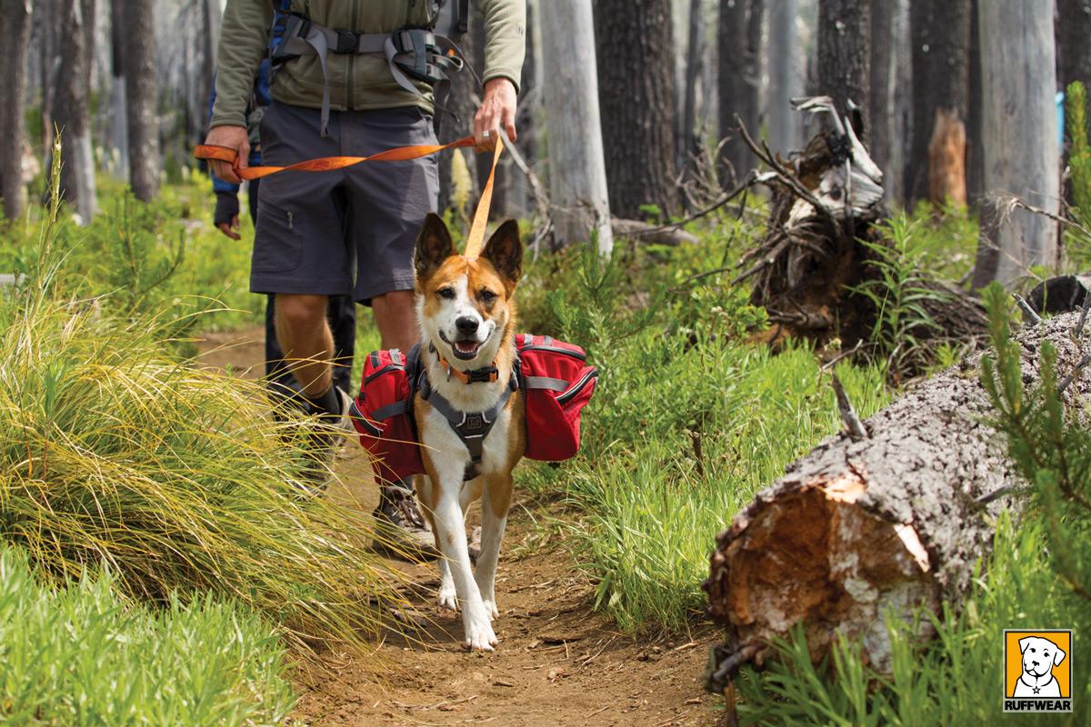 Ruffwear Palisades Pack, Medium, Red Currant Amazon.co.uk Pet Supplies