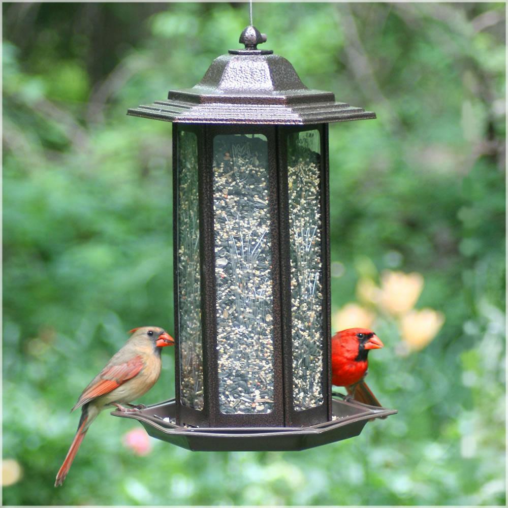 Opus Decorative Lantern Wild Bird Feeder Tall Amazon.co.uk Garden & Outdoors