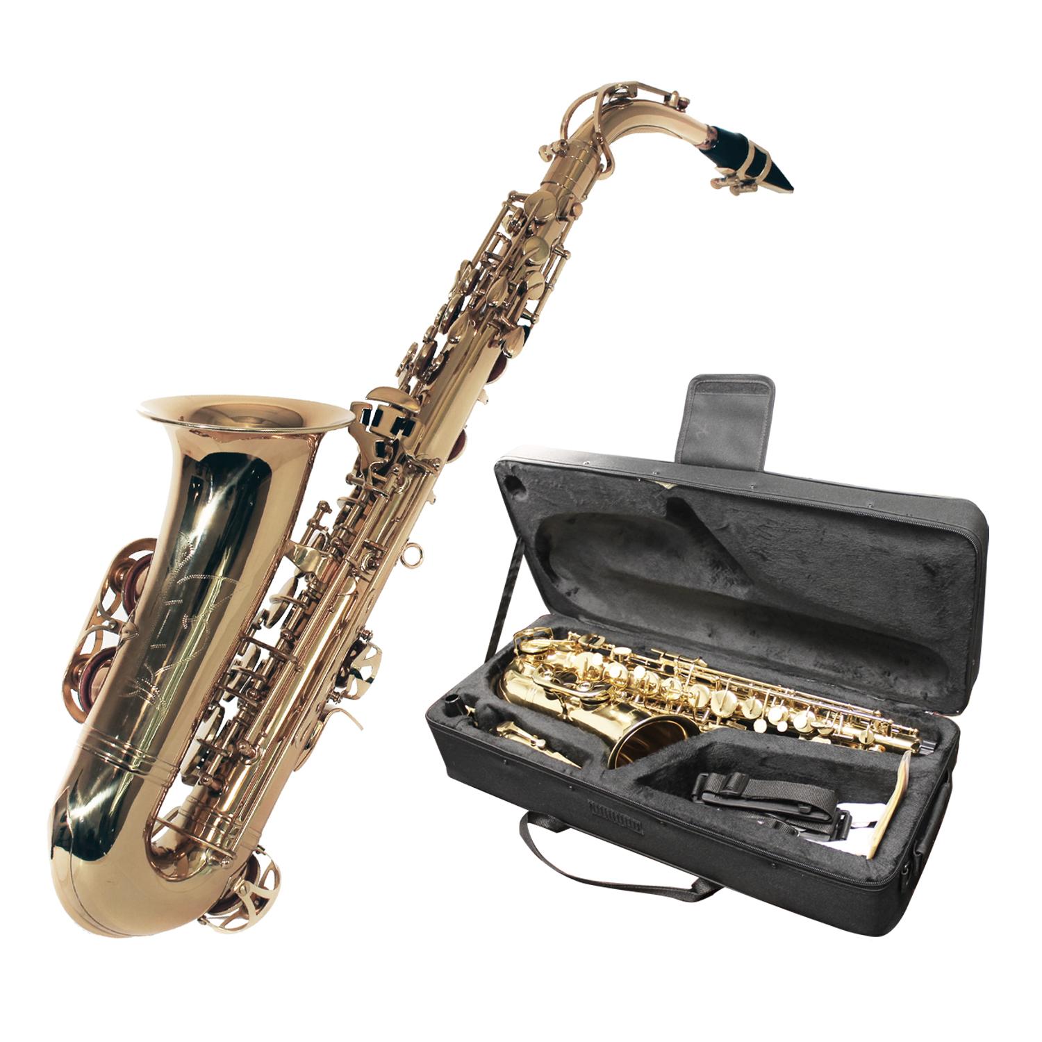 Windsor Alto Saxophone Includes Hard Case Gold Lacquer Finish Amazon
