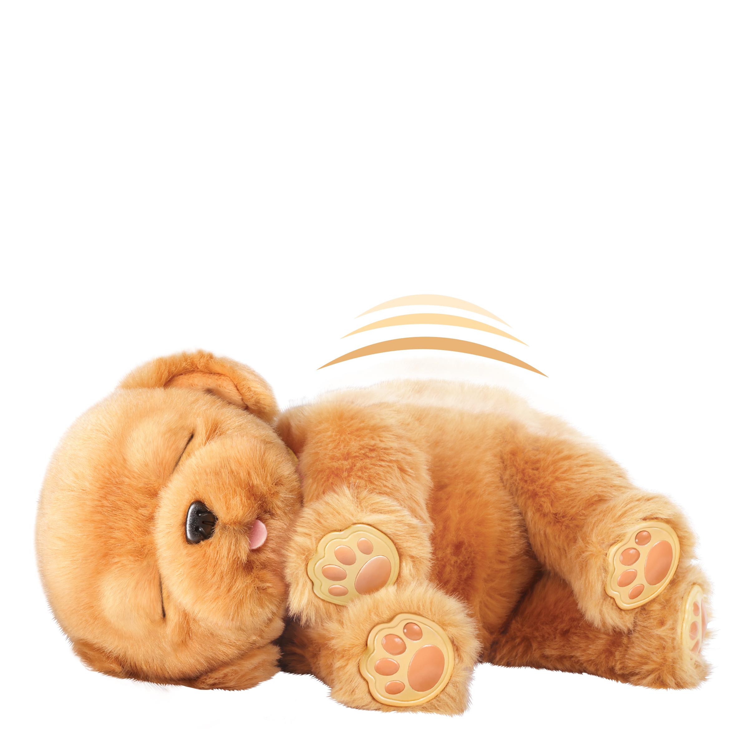 Little Live Pets My Dream Puppy Soft Toy Little Live Pets Amazon.co