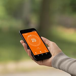 nest app