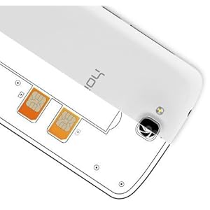 Dual micro-sim