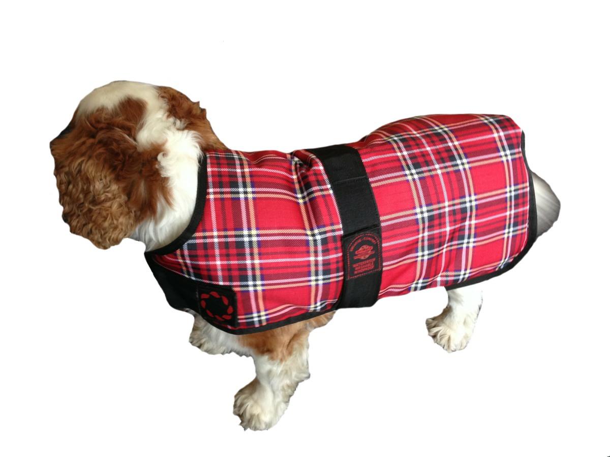 Outhwaite Padded Tartan Dog Coat, 14inch, Red Amazon.co.uk Pet Supplies
