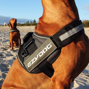 ezydog convert harness size guide