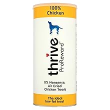 best wireless pet fence system