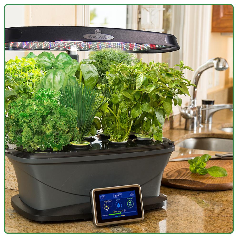 Miracle-Gro AeroGarden Bounty with Gourmet Herb Seed Pod Kit, Black