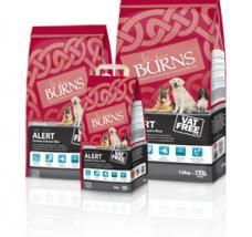 Burns Pet Nutrition Hypoallergenic Complete Dry Cat Food Adult and Senior Cat Chicken and Brown Rice 2 kg