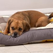 AeraMax Home Air Purifier with True Hepa Filter & Carbon Filter for